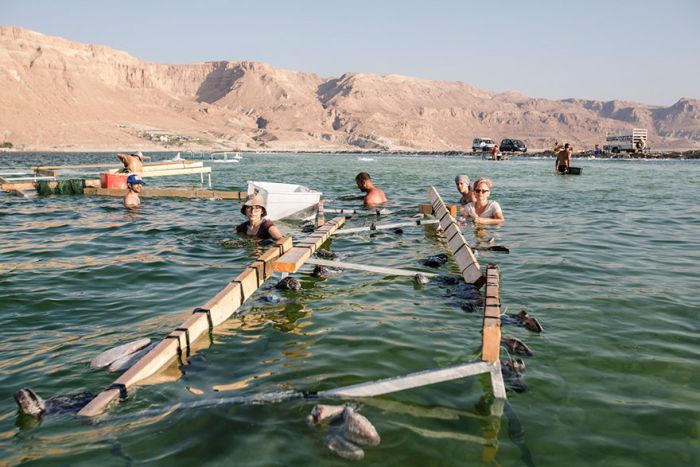 Dress Turns Into Glittering Salt Crystal Masterpiece After 2 Years In The Dead Sea (6 pics)