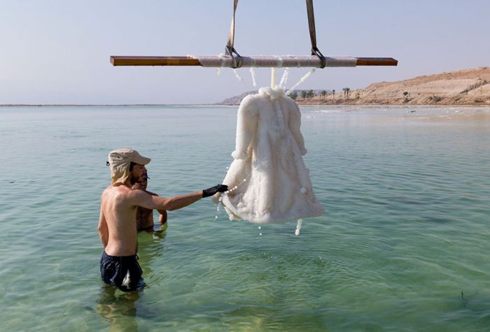 Dress Turns Into Glittering Salt Crystal Masterpiece After 2 Years In The Dead Sea (6 pics)