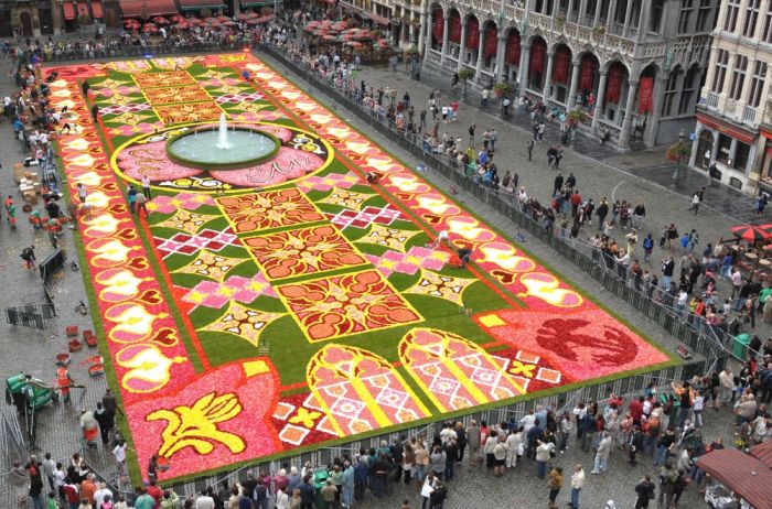 Brussels Is Now Covered By A Beautiful Flower Carpet (9 pics)