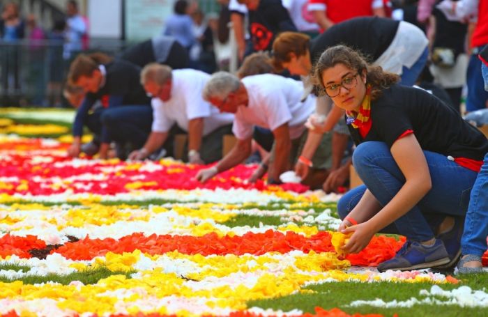 Brussels Is Now Covered By A Beautiful Flower Carpet (9 pics)