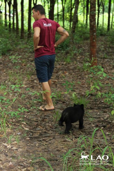 Baby Bear Saved From Hunters Loves Her New Home (15 pics)