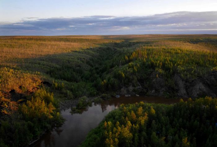 Hunters In Russia Make Millions Selling Prehistoric Remains On The Black Market (33 pics)