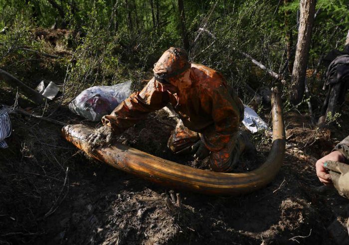 Hunters In Russia Make Millions Selling Prehistoric Remains On The Black Market (33 pics)