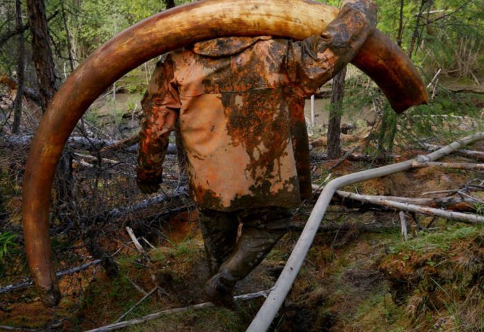 Hunters In Russia Make Millions Selling Prehistoric Remains On The Black Market (33 pics)