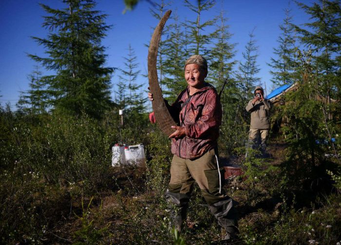 Hunters In Russia Make Millions Selling Prehistoric Remains On The Black Market (33 pics)