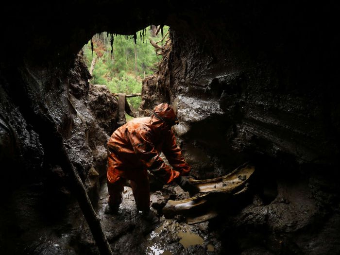 Hunters In Russia Make Millions Selling Prehistoric Remains On The Black Market (33 pics)