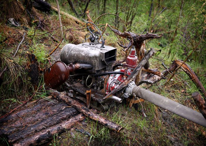 Hunters In Russia Make Millions Selling Prehistoric Remains On The Black Market (33 pics)