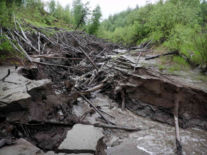 Hunters In Russia Make Millions Selling Prehistoric Remains On The Black Market (33 pics)