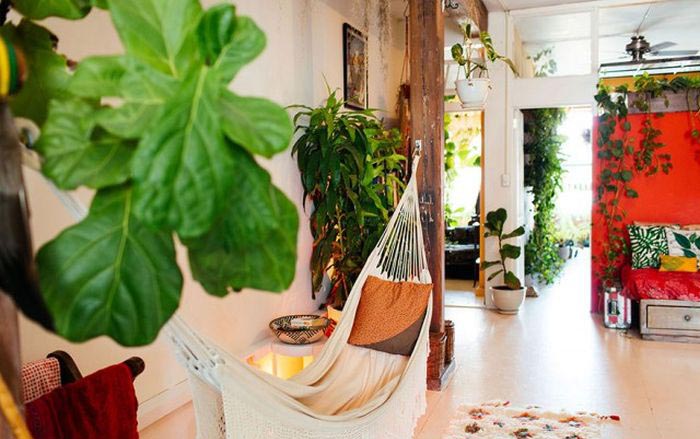 Girl Stashes More Than 500 Plants In Her Apartment (16 pics)