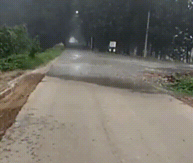 Acid Gifdump, August 29, 2016 (25 gifs)