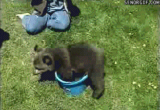 Acid Gifdump, August 29, 2016 (25 gifs)