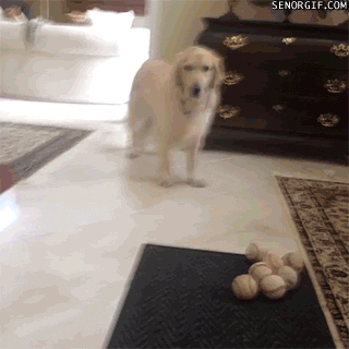 Acid Gifdump, August 29, 2016 (25 gifs)