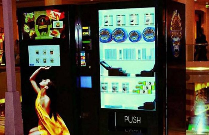 These Days You Can Find Just About Anything In Vending Machines (20 pics)