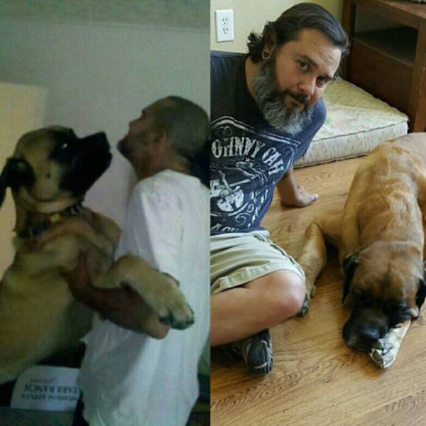 First And Last Pictures Of Pets That Will Tug At Your Heart Strings (30 pics)
