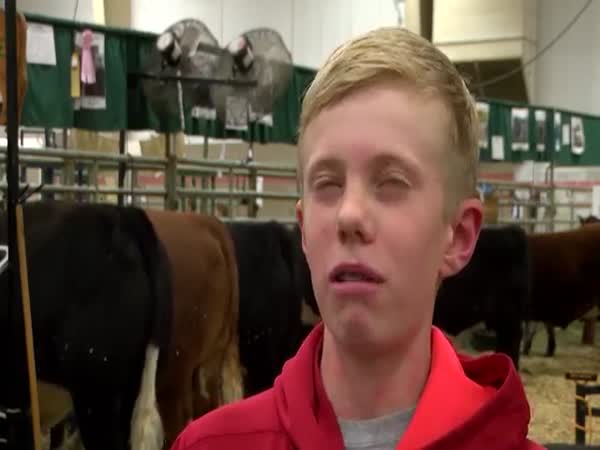 Cow Gets Pissed Off At Kid