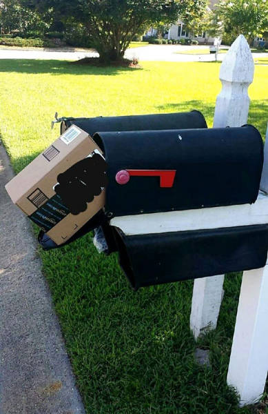 Crazy Delivery Fails That Make You Want To Scream At The Delivery Guy (33 pics)