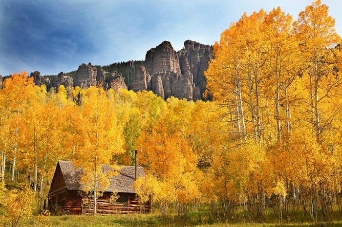 Secluded Cabins In The Woods That Are Perfect For A Getaway (47 pics)
