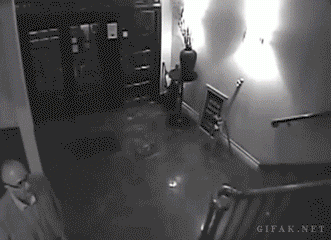 Acid Gifdump, September 02, 2016 (25 gifs)