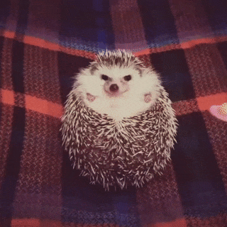 Acid Gifdump, September 02, 2016 (25 gifs)
