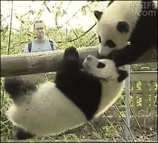 Acid Gifdump, September 02, 2016 (25 gifs)