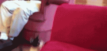 Acid Gifdump, September 02, 2016 (25 gifs)