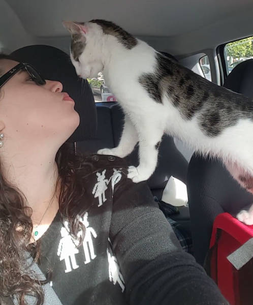 Cat Gets Rescued Hours Before It Was Set To Be Put Down (5 pics + video)