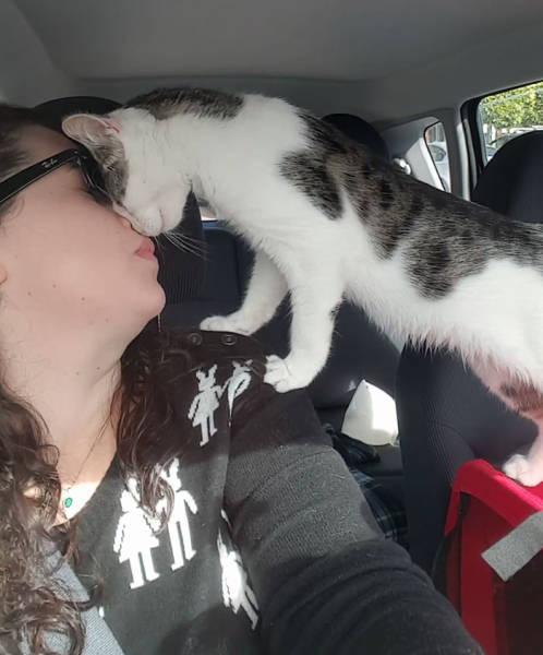 Cat Gets Rescued Hours Before It Was Set To Be Put Down (5 pics + video)