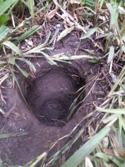 Mysterious Capsule Found In The Backyard (11 pics)