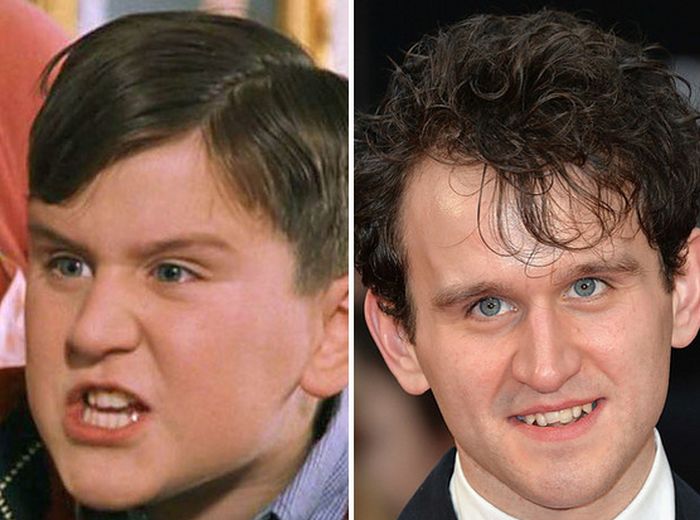 Find Out What The Harry Potter Supporting Cast Is Up To Now (28 pics)