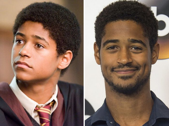 Find Out What The Harry Potter Supporting Cast Is Up To Now (28 pics)