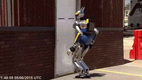 GIFs With Hilariously Added Faces That Will Keep You Laughing All Day (16 gifs)