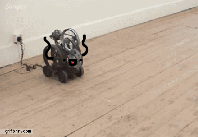 GIFs With Hilariously Added Faces That Will Keep You Laughing All Day (16 gifs)