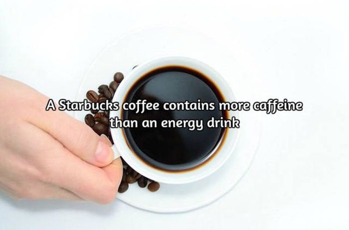 Interesting Facts About Coffee, The World's Most Important Drink (20 pics)