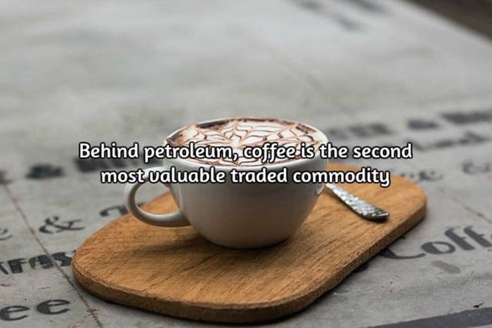 Interesting Facts About Coffee, The World's Most Important Drink (20 pics)