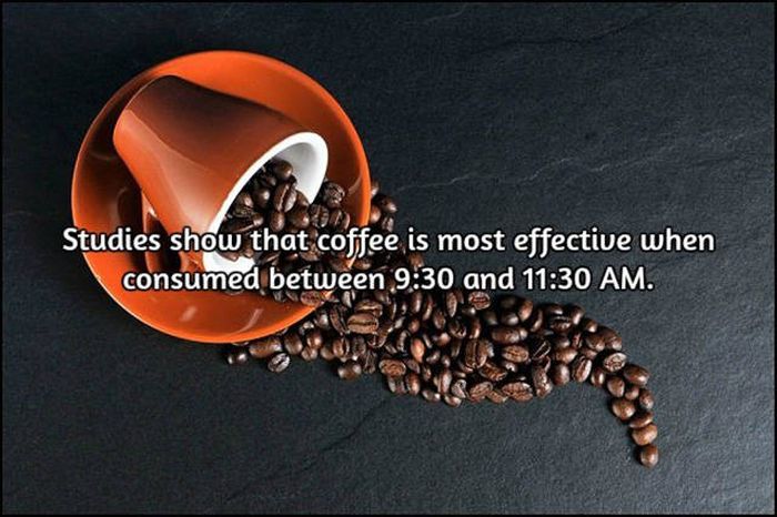 Interesting Facts About Coffee, The World's Most Important Drink (20 pics)