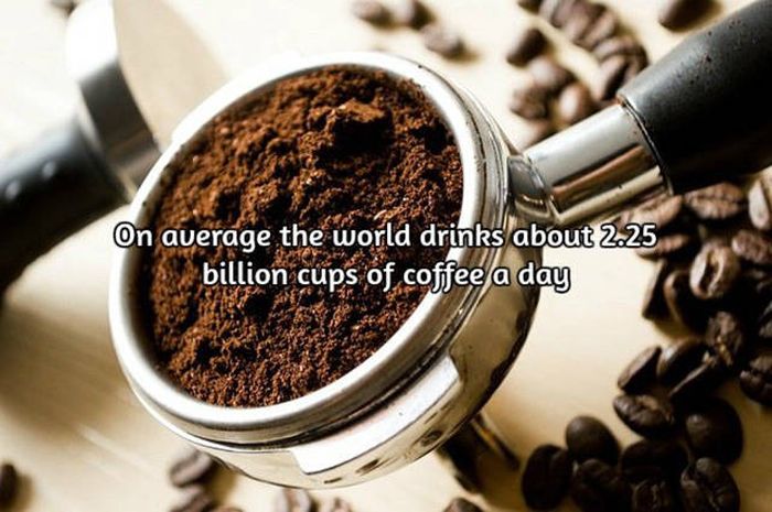 Interesting Facts About Coffee, The World's Most Important Drink (20 pics)
