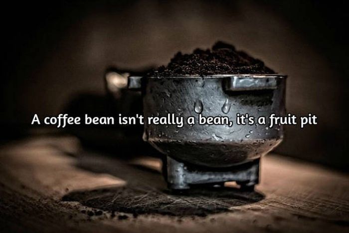 Interesting Facts About Coffee, The World's Most Important Drink (20 pics)