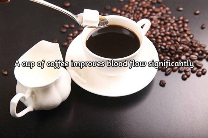 Interesting Facts About Coffee, The World's Most Important Drink (20 pics)