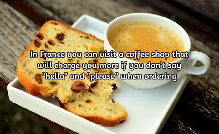 Interesting Facts About Coffee, The World's Most Important Drink (20 pics)