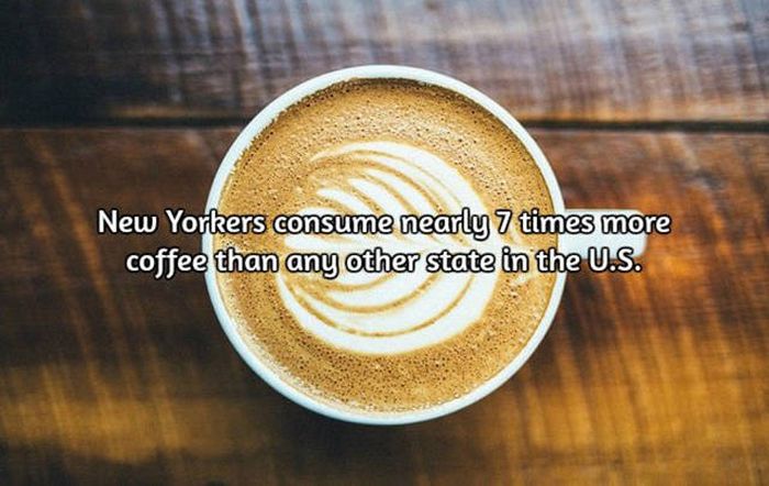 Interesting Facts About Coffee, The World's Most Important Drink (20 pics)