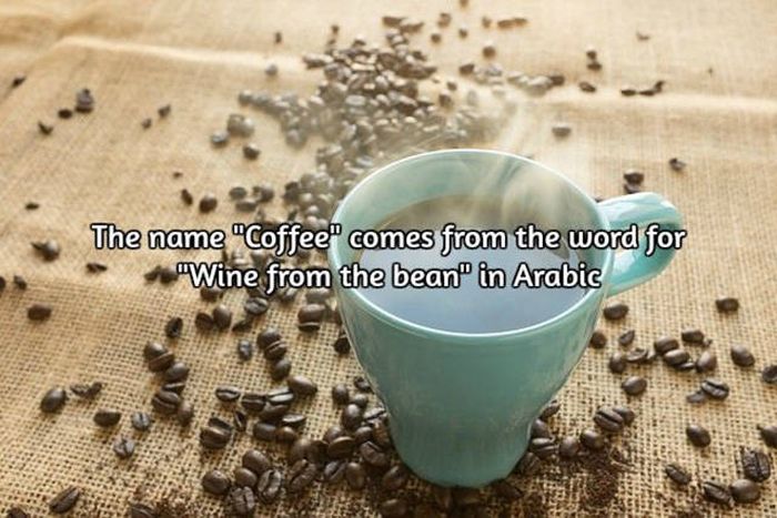 Interesting Facts About Coffee, The World's Most Important Drink (20 pics)