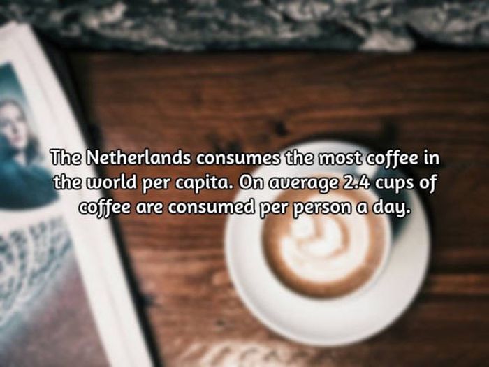 Interesting Facts About Coffee, The World's Most Important Drink (20 pics)