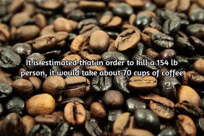 Interesting Facts About Coffee, The World's Most Important Drink (20 pics)