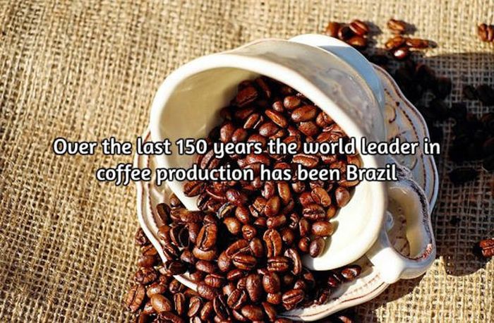 Interesting Facts About Coffee, The World's Most Important Drink (20 pics)