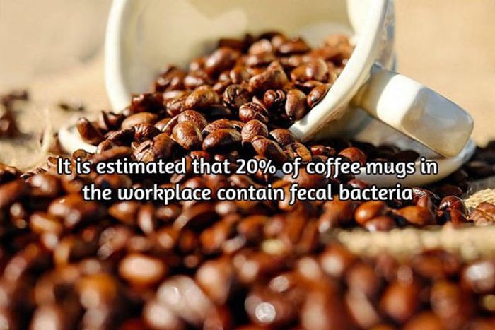 Interesting Facts About Coffee, The World's Most Important Drink (20 pics)