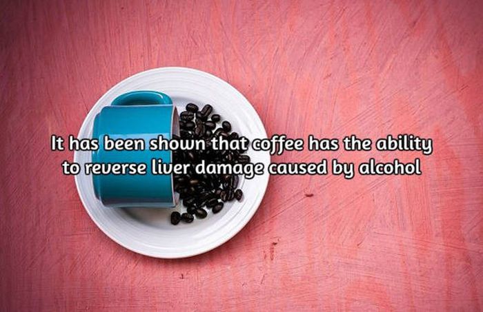 Interesting Facts About Coffee, The World's Most Important Drink (20 pics)