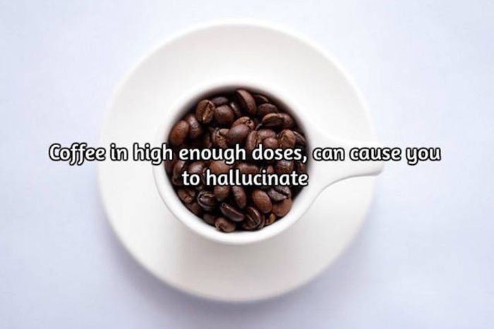 Interesting Facts About Coffee, The World's Most Important Drink (20 pics)
