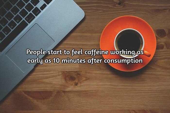 Interesting Facts About Coffee, The World's Most Important Drink (20 pics)