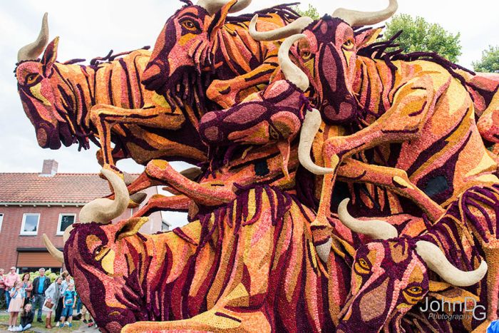 Giant Flower Sculptures Stun Crowds During Flower Parade In The Netherlands (15 pics)