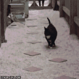 Acid Gifdump, September 07, 2016 (25 gifs)